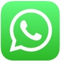 whatsapp-icon-vector-logo
